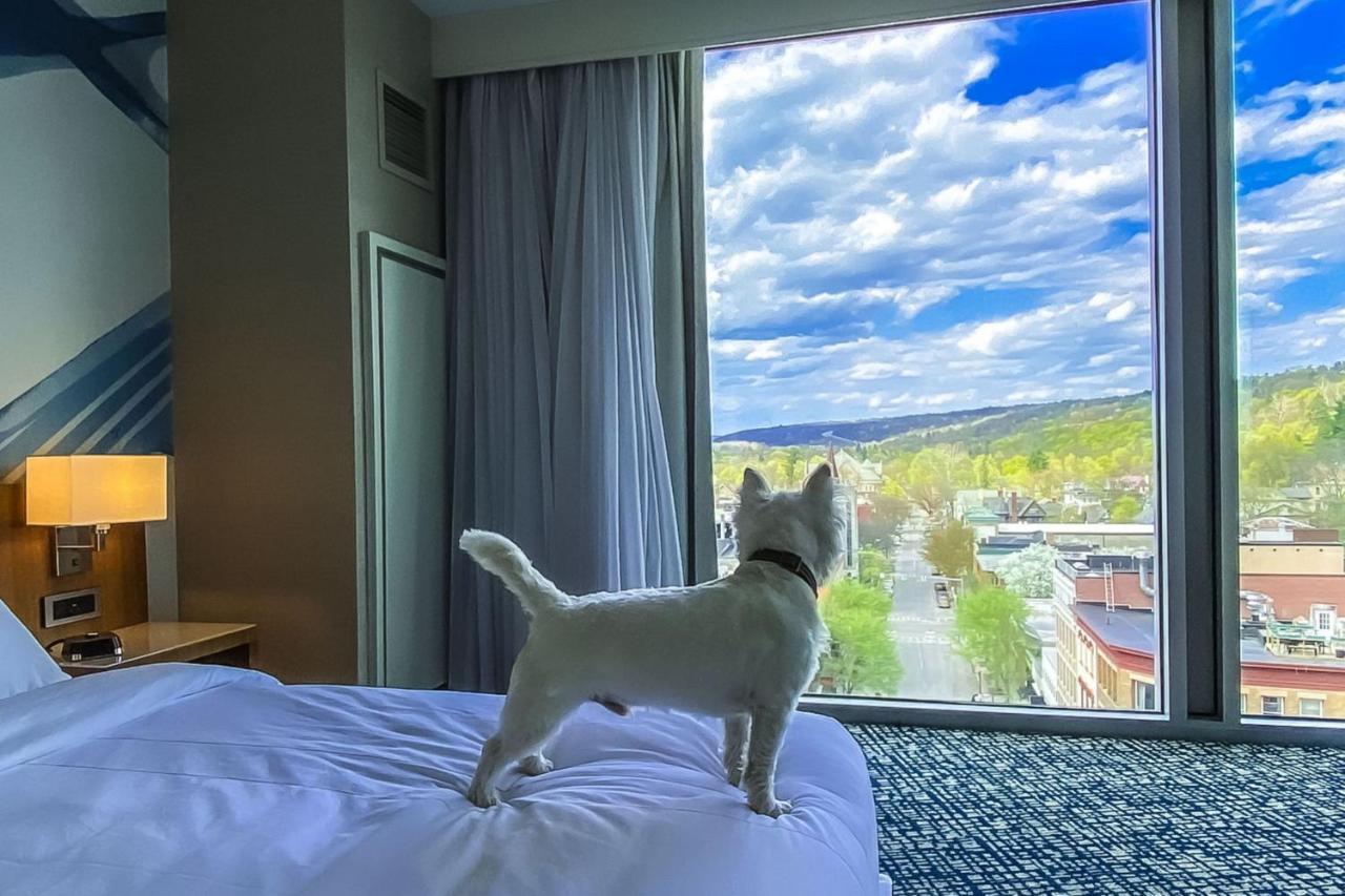 Отель Ithaca Marriott Downtown On The Commons Экстерьер фото